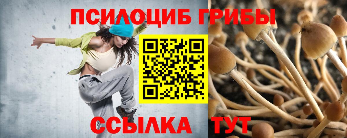 Псилоцибиновые грибы мицелий  Вход с VPN  Галлюциногенные грибы мухоморы  Йошкар-Ола 