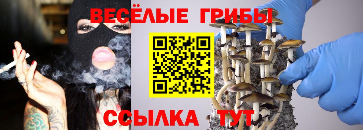 Галлюциногенные грибы ЛСД Йошкар-Ола